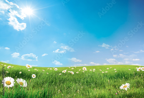 Photo: landscape with flowers landscape with flowers