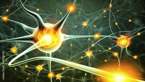 Photo: Active nerve cells Active nerve cells