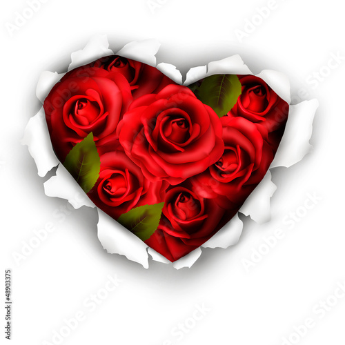 Vector: Valentine Heart Card Design. Red roses and ripped paper heart. V Valentine Heart Card Design. Red roses and ripped paper heart. V