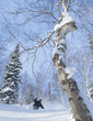 Freeride in Siberia
