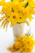 narcissus and mimosa