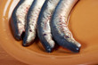 Fresh fish lamprey