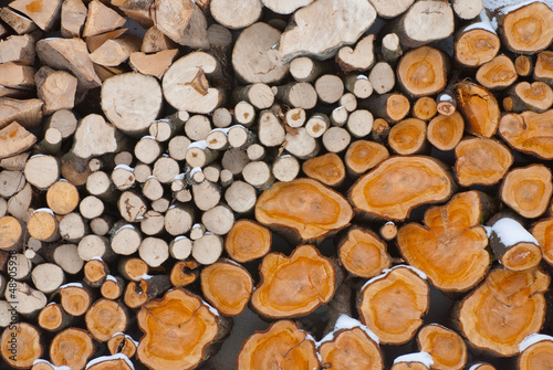 Photo: Firewood logs Firewood logs