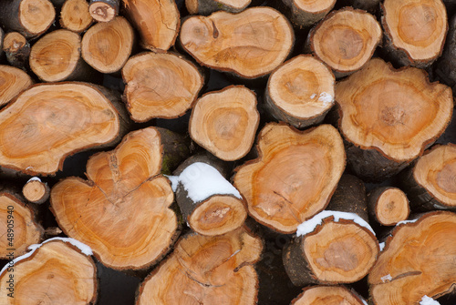 Photo: Firewood logs Firewood logs