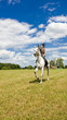 Photo: equestrian on horseback equestrian on horseback