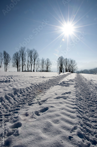 Photo: Spuren im Schnee Spuren im Schnee