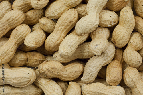 Photo: Noccioline Noccioline
