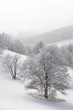 Raureif: Winterlandschaft auf der Schwäbischen Alb