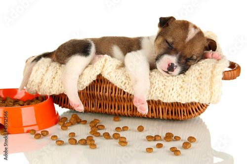 Photo: Beautiful little puppy sleeping in basket isolated on white Beautiful little puppy sleeping in basket isolated on white