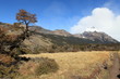 El Chalten Fritz Roy 