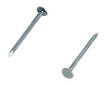 Two galvanized nail