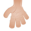 hand