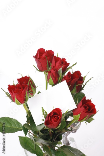 Photo: Roses greetings Roses greetings