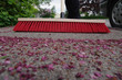 broom cleaning