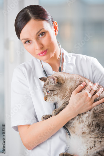 Photo: Veterinarian holding and calming a cat at clinic Veterinarian holding and calming a cat at clinic