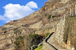 Foto: Stone road between empty vineyards in winter, Valtellina Stone road between empty vineyards in winter, Valtellina