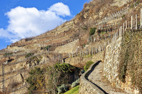 Photo: Stone road between empty vineyards in winter, Valtellina Stone road between empty vineyards in winter, Valtellina