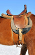 A saddle on the horse