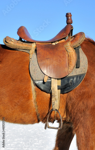 Photo: A saddle on the horse A saddle on the horse