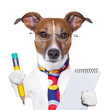 secretary dog
