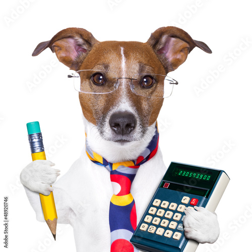 Photo: secretary dog secretary dog