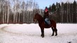 Woman sit on horse back in forest