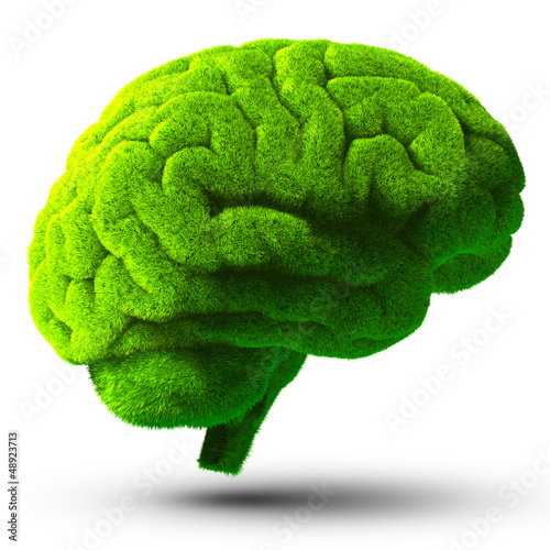 Illustration: Green brain Green brain