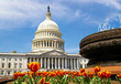 The capitol The capitol