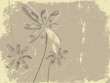 Floral background