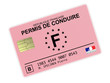 nouveau permis de conduire électronique
