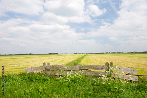 Photo: Agriculture in Holland Agriculture in Holland