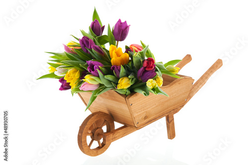 Photo: Wheel barrow full tulips Wheel barrow full tulips