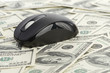 US Dollars and Computer Mouse