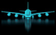 Commercial Aircraft Mesh