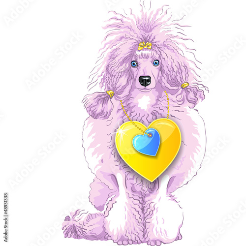 Vector: vector pink Poodle dog with gold heart vector pink Poodle dog with gold heart