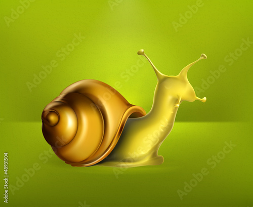 Vector: Snail Snail