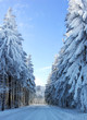 Winter Strasse