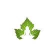Vector: Yoga logo on green leaf Yoga logo on green leaf