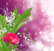 composition muguet et rose