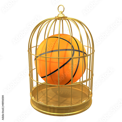 Illustration: Birdcage with basketball inside Birdcage with basketball inside