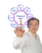Diagram of financial risks