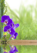 concept bien-être, nature, détente, massage