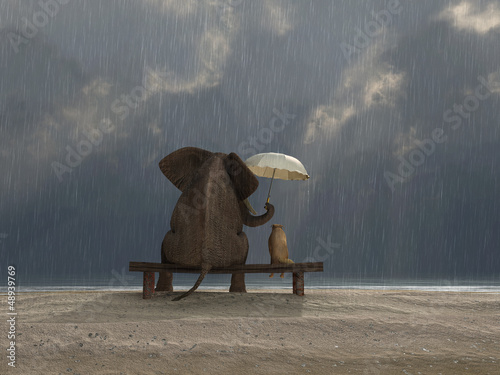 Illustration: elephant and dog sit under the rain elephant and dog sit under the rain
