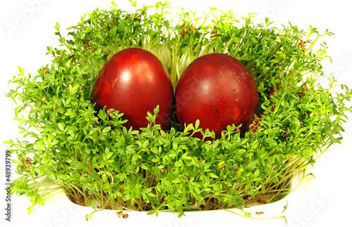 Photo: Easter eggs and cress Easter eggs and cress