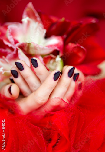 Photo: Cupped hands with dark manicure holding bright flowers Cupped hands with dark manicure holding bright flowers