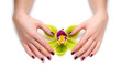 Beautiful manicure and an Orchid on a white background