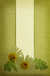 Daisy flowers on fabric texture