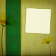 Daisy flowers on fabric texture with copy space
