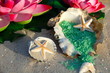 Photo: Badesalz und Seesterne Badesalz und Seesterne