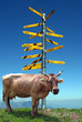 Photo: Wegweiser Wegweiser